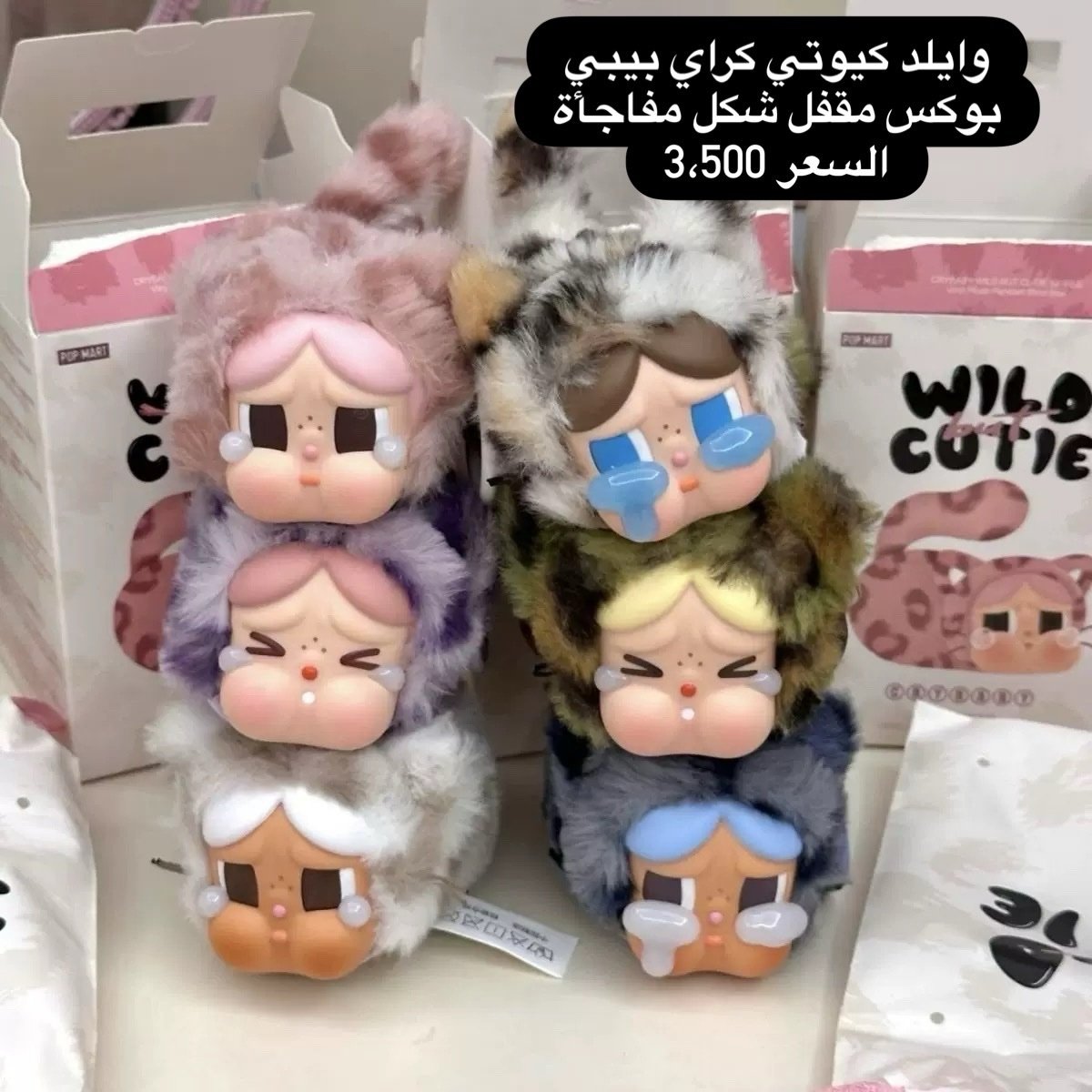 96bb4b0a-1246-48c9-a694-6cb4e691f09a سيكرت بوكس وايلد كيوتي - الصورة 1